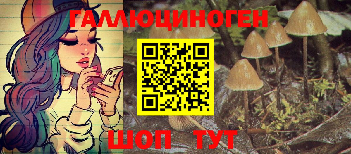Галлюциногенные грибы Magic Shrooms  Вход с VPN  Рубцовск  Псилоцибиновые грибы GOLDEN TEACHER 