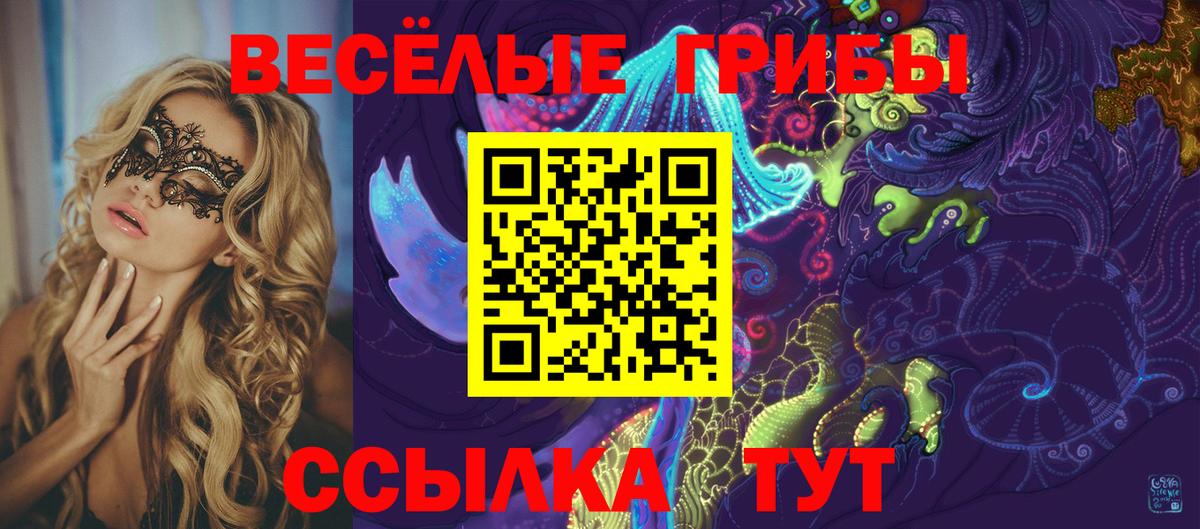 Псилоцибиновые грибы Cubensis Рубцовск